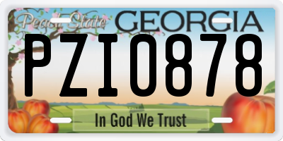 GA license plate PZI0878