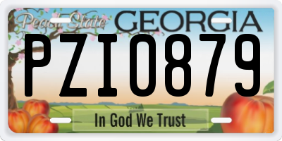 GA license plate PZI0879