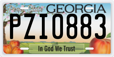 GA license plate PZI0883