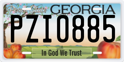 GA license plate PZI0885