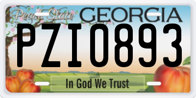 GA license plate PZI0893
