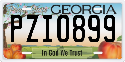 GA license plate PZI0899