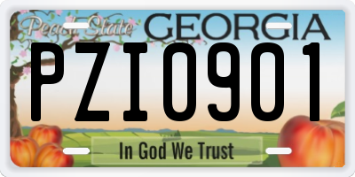 GA license plate PZI0901