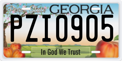 GA license plate PZI0905