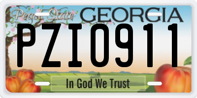 GA license plate PZI0911