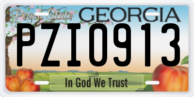 GA license plate PZI0913