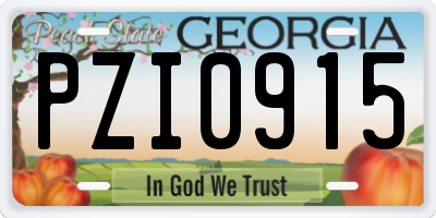 GA license plate PZI0915