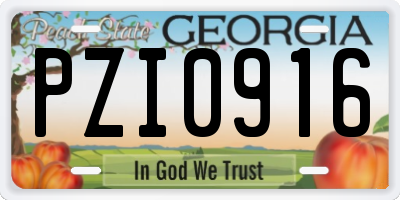 GA license plate PZI0916