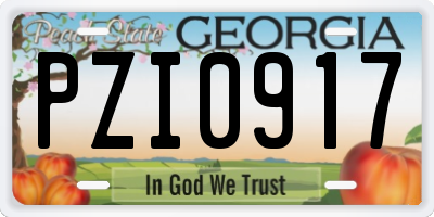 GA license plate PZI0917