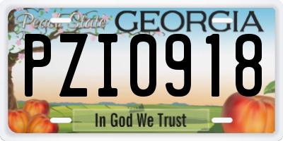 GA license plate PZI0918