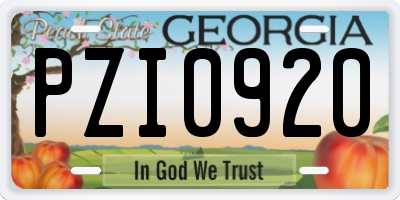 GA license plate PZI0920