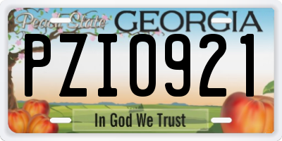GA license plate PZI0921