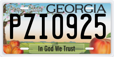 GA license plate PZI0925