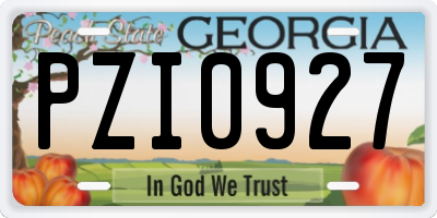 GA license plate PZI0927