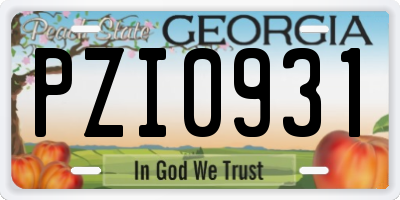 GA license plate PZI0931
