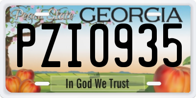 GA license plate PZI0935