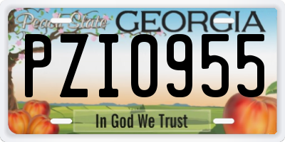 GA license plate PZI0955