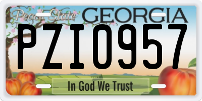 GA license plate PZI0957