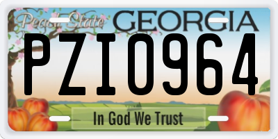 GA license plate PZI0964
