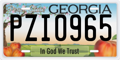 GA license plate PZI0965