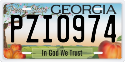 GA license plate PZI0974