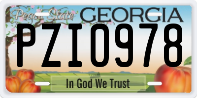 GA license plate PZI0978