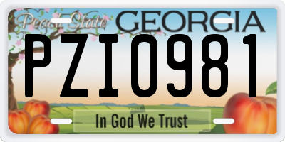 GA license plate PZI0981