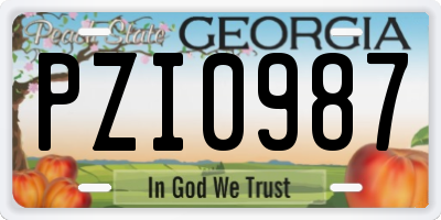 GA license plate PZI0987