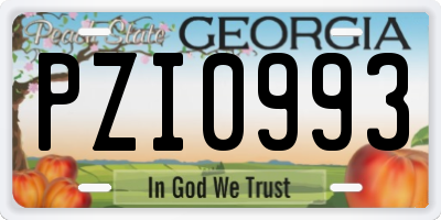GA license plate PZI0993