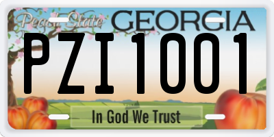 GA license plate PZI1001