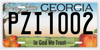 GA license plate PZI1002