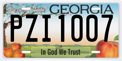 GA license plate PZI1007