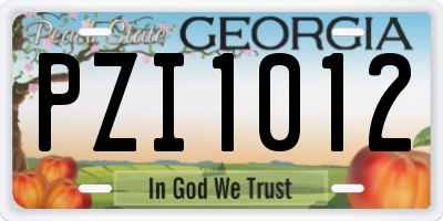 GA license plate PZI1012