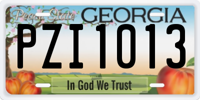 GA license plate PZI1013
