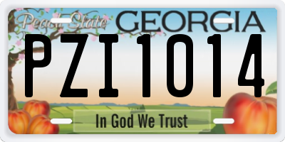 GA license plate PZI1014