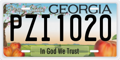 GA license plate PZI1020