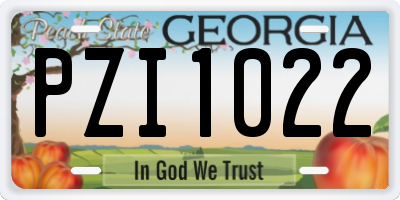 GA license plate PZI1022
