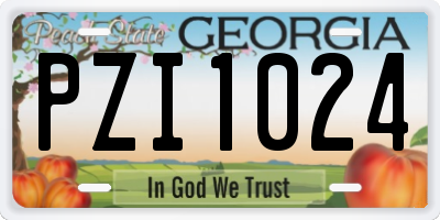 GA license plate PZI1024