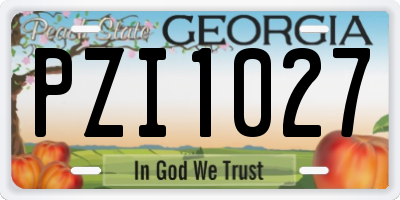 GA license plate PZI1027