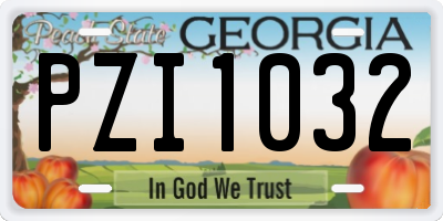 GA license plate PZI1032