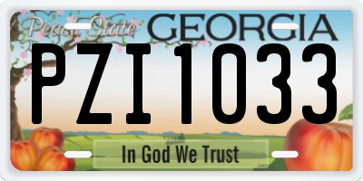 GA license plate PZI1033