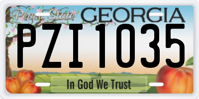 GA license plate PZI1035