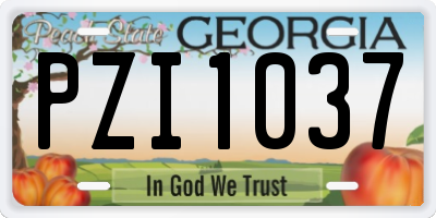 GA license plate PZI1037