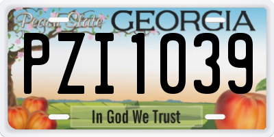 GA license plate PZI1039