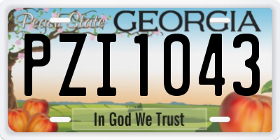 GA license plate PZI1043