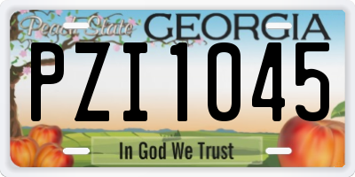 GA license plate PZI1045