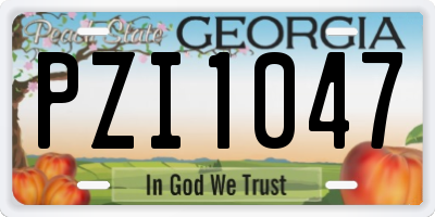 GA license plate PZI1047