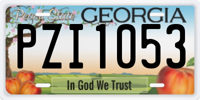 GA license plate PZI1053