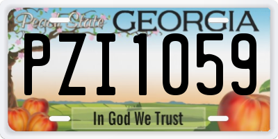 GA license plate PZI1059