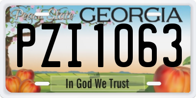 GA license plate PZI1063
